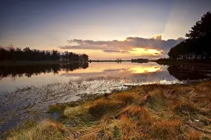 Evening Light In The Netherlands Drucke: Dramatic sunset over wild lake in dwingelderveld