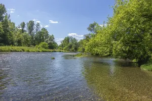 Fluss Drucke: Die Drau bei Grabe, Ormož, Središče ob Dravi, Slowenien