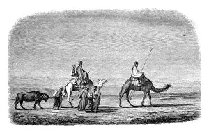 Empty Uninhabited Scene Drucke: Drawing by Marilhat, for after his chart sets