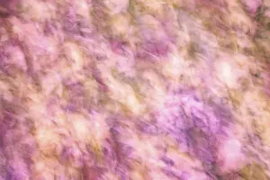 Undulating Wave Form Drucke: A dreamy abstract image with soft