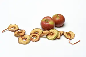 German Fruit Drucke: Dried apple rings on string, apples, Germany