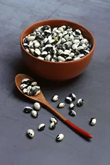 Dried Beans Drucke: Dried beans in shell with spoon