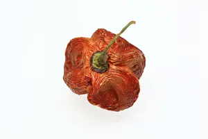 Uninhabited Landscapes Drucke: Dried chilli fruit