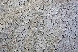 Tuscany Italy Landscape Drucke: Dried clay surface, mudcracks in ground
