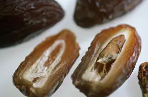 Food Studio Shot Drucke: Dried Dates, cutted (Phoenix dactylifera)