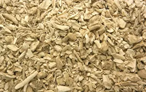 Homeopathic Remedies Drucke: Dried diptam root, In former times