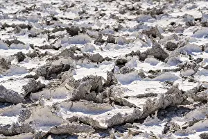 Etosha National Park Namibia Drucke: Dried mud patterns with cracks on the ground