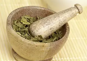 Stinging Nettle Leaf Drucke: Dried nettle in mortar
