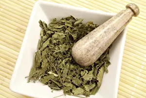 Alternative Medicine Plants Drucke: Dried nettle in mortar