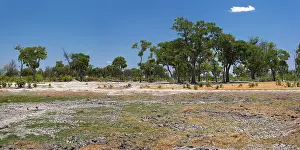 Dried Riverbed Landscape Drucke: Dried out riverbed and landscape
