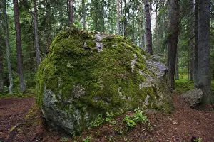 Lahemaa National Park Drucke: Drift boulder, Elo Kivil, Aabla Raba