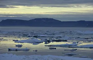 Frozen Surface Drucke: Drift ice in the Hinlopen Strait