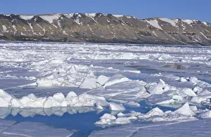 Winter In Scandinavia Drucke: Drift ice in the Hinlopen Strait