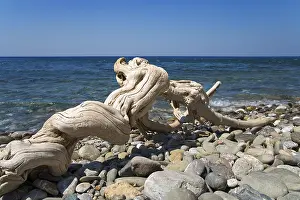 Mediterranean Coastline Views Drucke: Driftwood at the beach