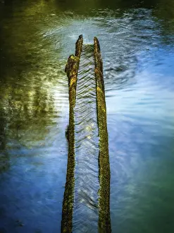 Wasser aus einem Quell tritt in ein See.