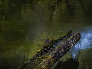 Deserted Countryside Landscapes Drucke: Drinking water from a spring flows into a lake