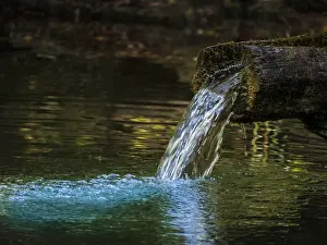 Pristine Landscape Photography Drucke: Drinking water from a spring flows into a lake
