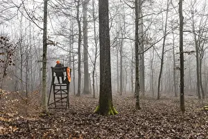 Central European Nature Scenery Drucke: Driven hunting in Schonbuch