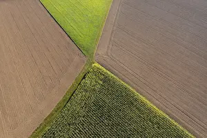 Maize Field From Above Drucke: Drone image, maize field and harvested fields from above