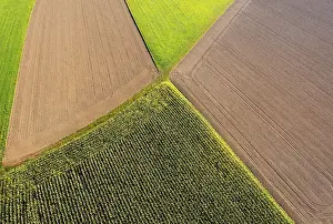 Harvested Fields Europe Drucke: Drone image, maize field and harvested fields from above