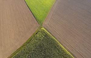 Drone Photography Upper Austria Drucke: Drone image, maize field and harvested fields from above