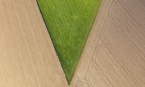 Drone Photography Drucke: Drone image, maize field and harvested fields from above