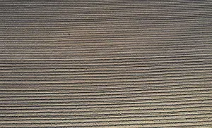 Upper Austria Drone Photography Drucke: Drone image, ploughed field, from above