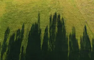 Upper Austria Landscape Photography Drucke: Drone image, shadow cast by trees on a meadow