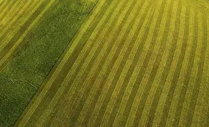 Salzkammergut Aerial View Drucke: Drone image, structure of a mown meadow