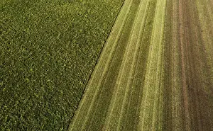 Upper Austria Landscape Photography Drucke: Drone image, structure of a mown meadow