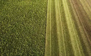 Upper Austria Landscape Photography Drucke: Drone image, structure of a mown meadow