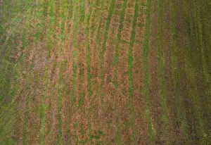 Agricultural Landscape From Above Drucke: Drone image, structure of a mown meadow