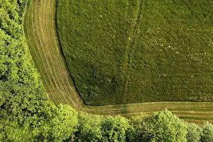Drone Image Of Mown Meadow Drucke: Drone image, structure of a mown meadow with group of trees