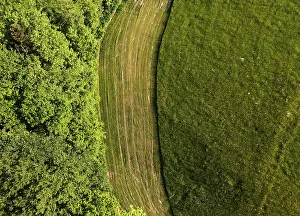 Upper Austria Drone Photography Drucke: Drone image, structure of a mown meadow with group of trees