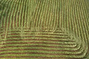 Agricultural Landscape In Upper Austria Drucke: Drone image, structured mown meadow