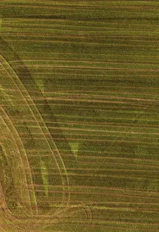 High Angle View Of Cultivated Area Drucke: Drone image, Structured mown meadow with ruts