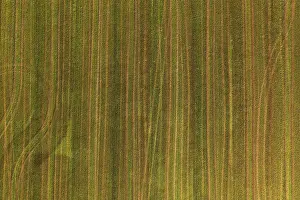Drone Photography Austria Drucke: Drone image, Structured mown meadow with ruts