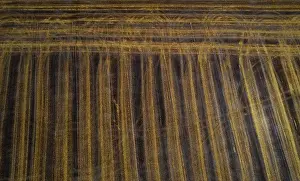 Aerial Landscape Photography Germany Drucke: Drone image, structures on a mown field