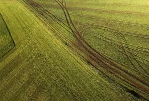 Drone View Of Agricultural Landscape Drucke: Drone image, structures on a mown meadow with ruts