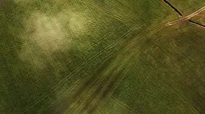 Europe Countryside Images Drucke: Drone image, structures on a mown meadow with ruts