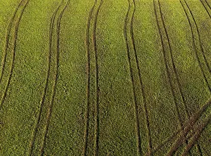 Salzkammergut Drone Image Drucke: Drone image, structures on a mown meadow with ruts