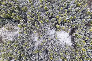 Snowy Winter Scene Europe Drucke: Drone image, winter in Remstal