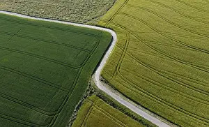 Upper Austria Drone Shot Drucke: Drone shot, field path leading between grain fields