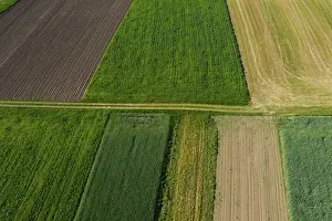 Upper Austria Agricultural Landscape Drucke: Drone shot, meadow path with grain fields and harvested fields