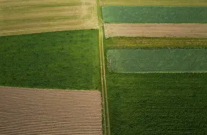 Upper Austria Agricultural Landscape Drucke: Drone shot, meadow path with grain fields and harvested fields