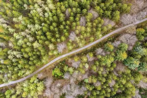 Swabian Forest Aerial Photography Drucke: Drone shot, mixed forest in spring