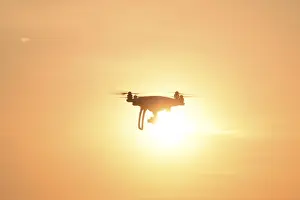 Evening Wildlife Photography Drucke: Drone silhouette against the background of the sunset