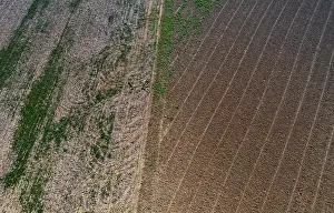 Agricultural Landscape Photography With Drone Drucke: Drone view of harvested fields