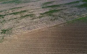 High Angle View Of Farm Field Drucke: Drone view of harvested fields