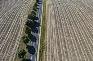 Aerial Photography Austria Drucke: Drone view of a tree-lined road between harvested fields